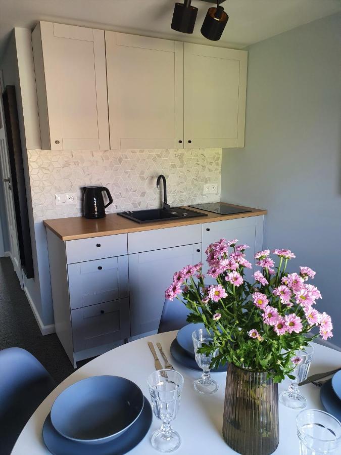 Apartamenty K17 Centrum Malbork Exterior photo